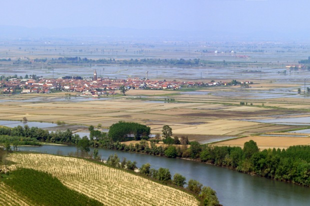 Rice fields in the province of Vercelli, eastern Piedmont.